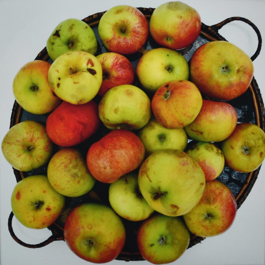 die äpfel im garten der frau m.