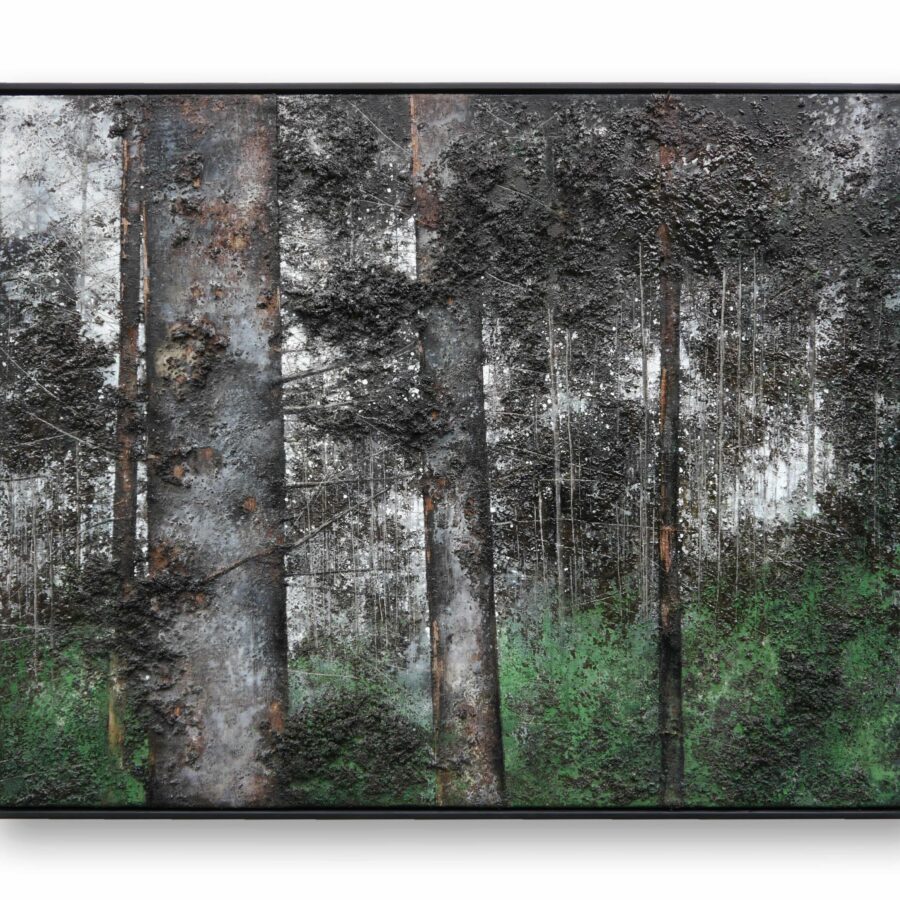 Grundlagen eines Forsts