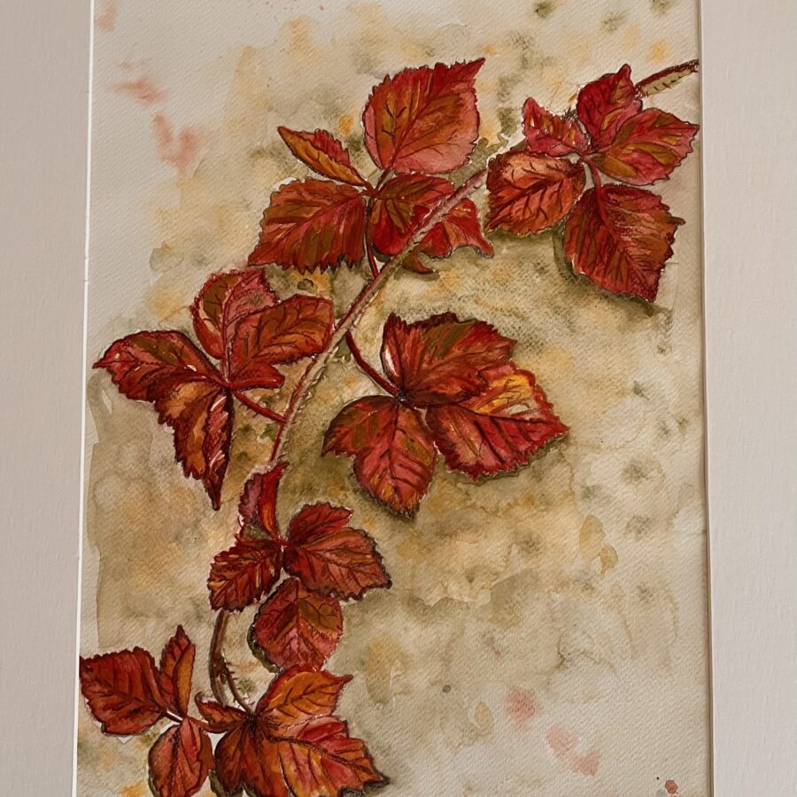 Herbstlaub Brombeere