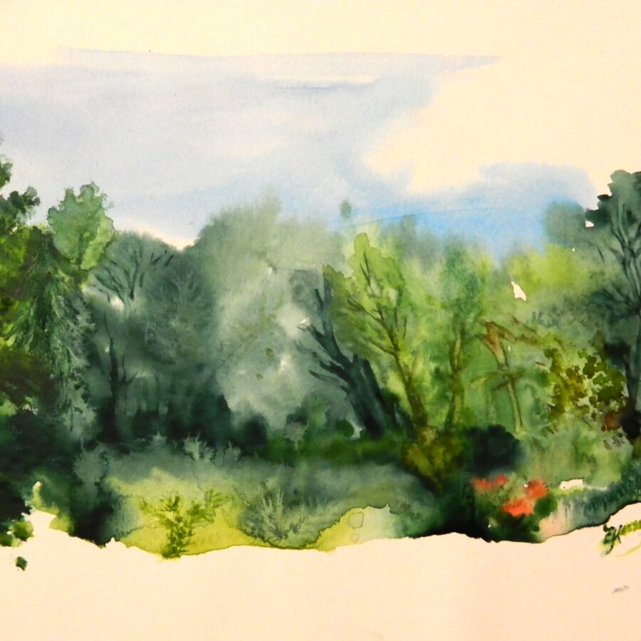 Kleine Waldlichtung