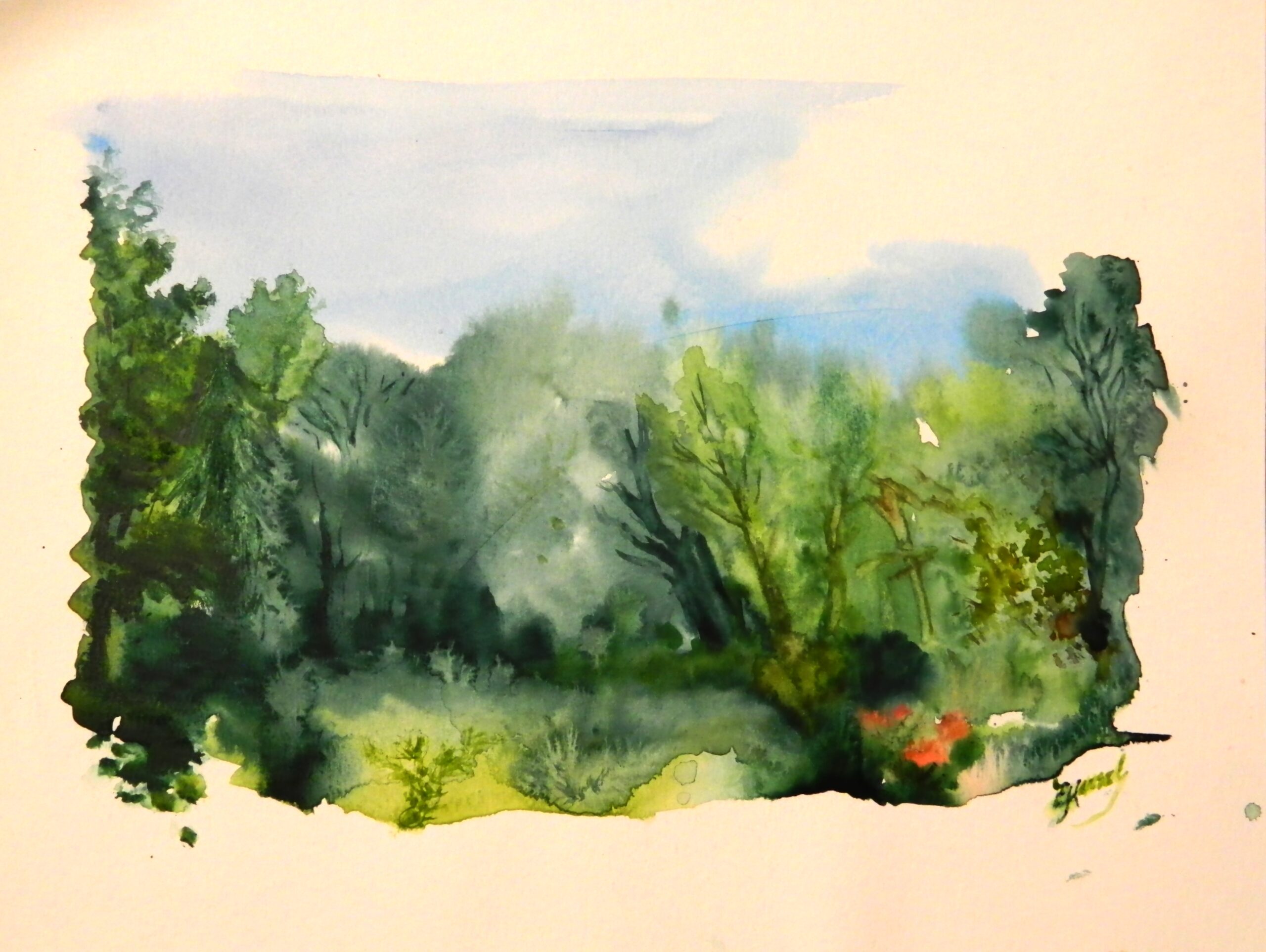 Kleine Waldlichtung – Bild 2