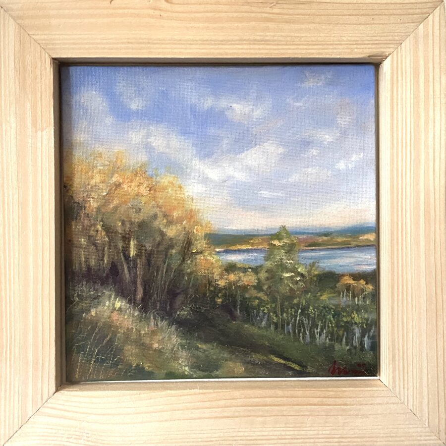 Herbstblick auf Berzdorfer See